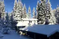 дом по адресу Горішків, 307