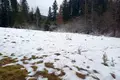 ділянка за адресою с. Гриньків, Урочище Шумляче