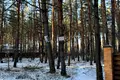 участок по адресу Зелена