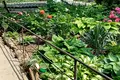 будинок за адресою Продольна вул.