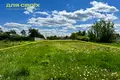 участок по адресу пгт. Глеваха, Героїв України, 17а