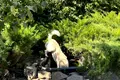 будинок за адресою Сильвестра Косова вул. (Нова)
