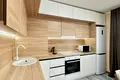 квартира по адресу Балтийский пер., 1