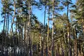 участок по адресу Зелена