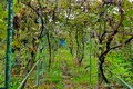 будинок за адресою 28-ма вулиця