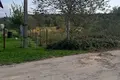 ділянка за адресою Лісна