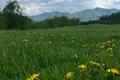 участок по адресу Івана франка