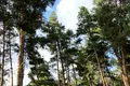 участок по адресу Зеленая