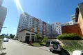 квартира по адресу Замарстыновская ул. (Калинина), 233а