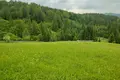 ділянка за адресою коротеньке