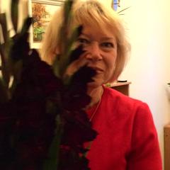 Мойсеєнко Надія