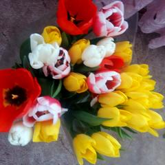 Гулюк Тетяна