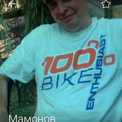 Мамонов Володимир