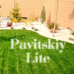 Pavitskiy Lite