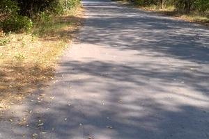 дом по адресу Самарь (Новомосковск), Вільне