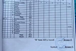 будинок за адресою с. Давидківці, СТ Енергія