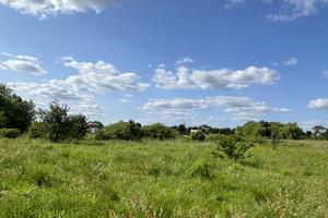 ділянка за адресою Червоної Калини