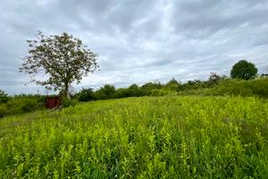 участок по адресу Почаївська
