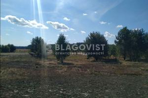 ділянка за адресою Чубаря, 89