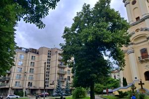 квартира за адресою Тершаківців, 1а