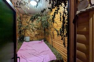 комерційна за адресою Максима Рильського вул., 19