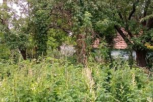 участок по адресу Вовчищовичі, 11
