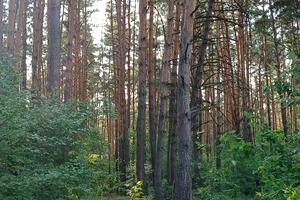будинок за адресою Садова