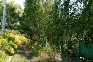 участок по адресу В.Стуса, 48
