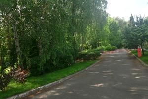 участок по адресу Лісова