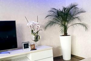 квартира за адресою Шандора Петефі пл., 13