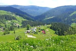 ділянка за адресою с. Лазещина, Нова, 9