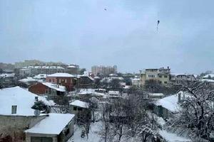 квартира за адресою Волонтерська вул. (Соціалістична), 8а