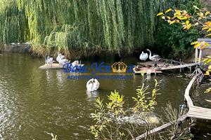 дом по адресу Мира ул., 55