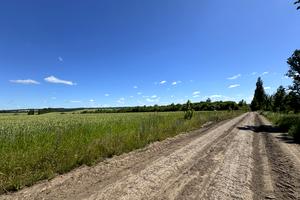ділянка за адресою Підгорного, 20