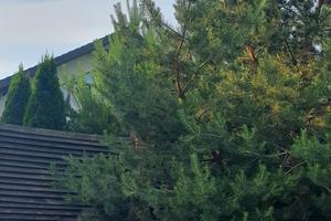 будинок за адресою Сім'ї Забарило вул.