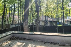 дом по адресу Лесопарковская ул.
