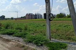 участок по адресу Дивовижна
