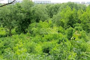 будинок за адресою Котляри пров., 6