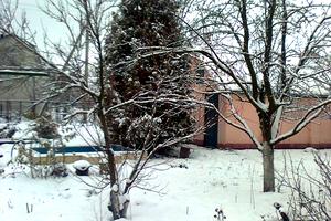 дом по адресу Рибальська