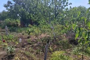 будинок за адресою вулиця 26