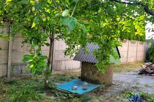 дом по адресу Мира ул., 20