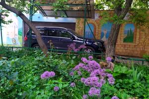 квартира по адресу Ясна, 8