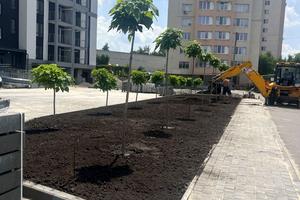 квартира по адресу Транспортная ул., 11/3