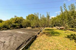 будинок за адресою Ужгородська