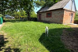 дом по адресу Чарнівка, 6