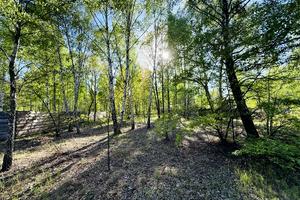 ділянка за адресою Північна
