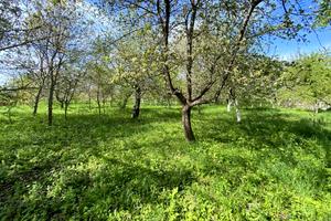 ділянка за адресою Підлісна, 15а