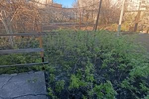 дом по адресу Композитора Вербицького ул. (Олександра Вронського)