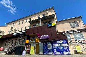 комерційна за адресою Панаса Мирного вул., 4/2