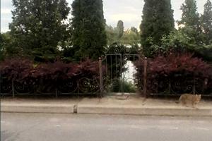 дом по адресу Озерная ул., 8